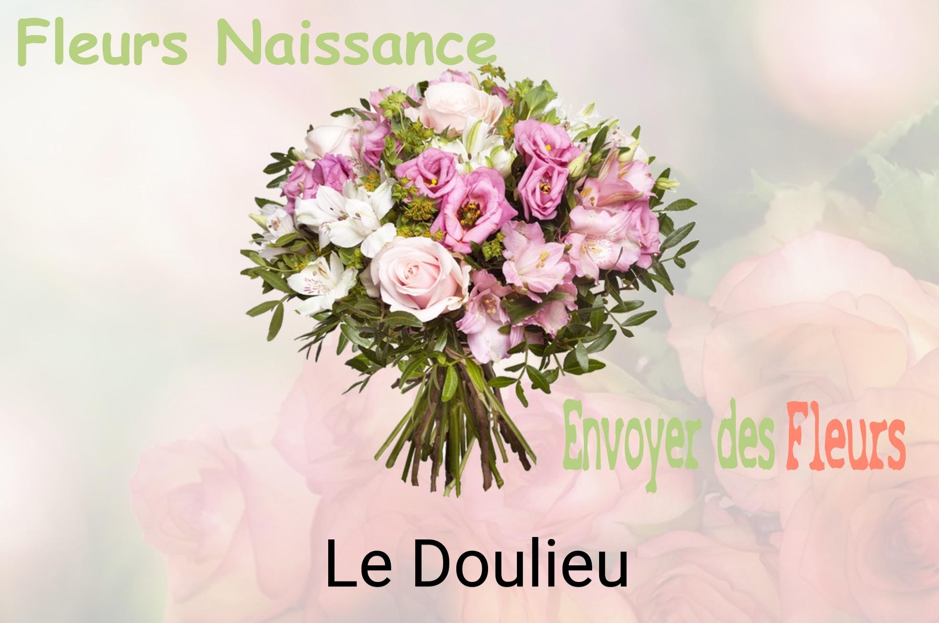 Bouquet de fleurs de naissance livré à Le Doulieu